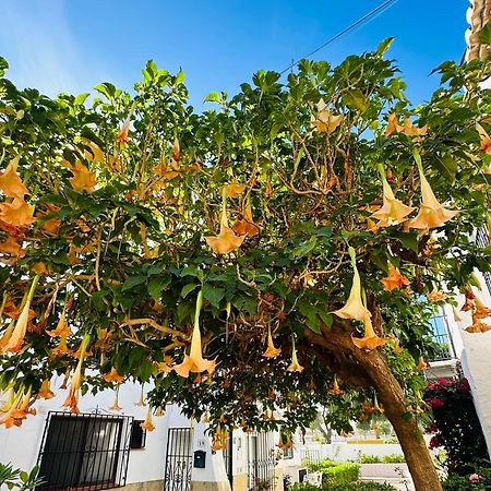 Right By The Pool Area In Capistrano Village! Nerja Exterior foto